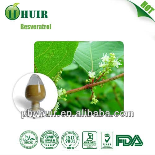 99_ Trans Resveratrol Polygunom Cupsidatum Extract powder